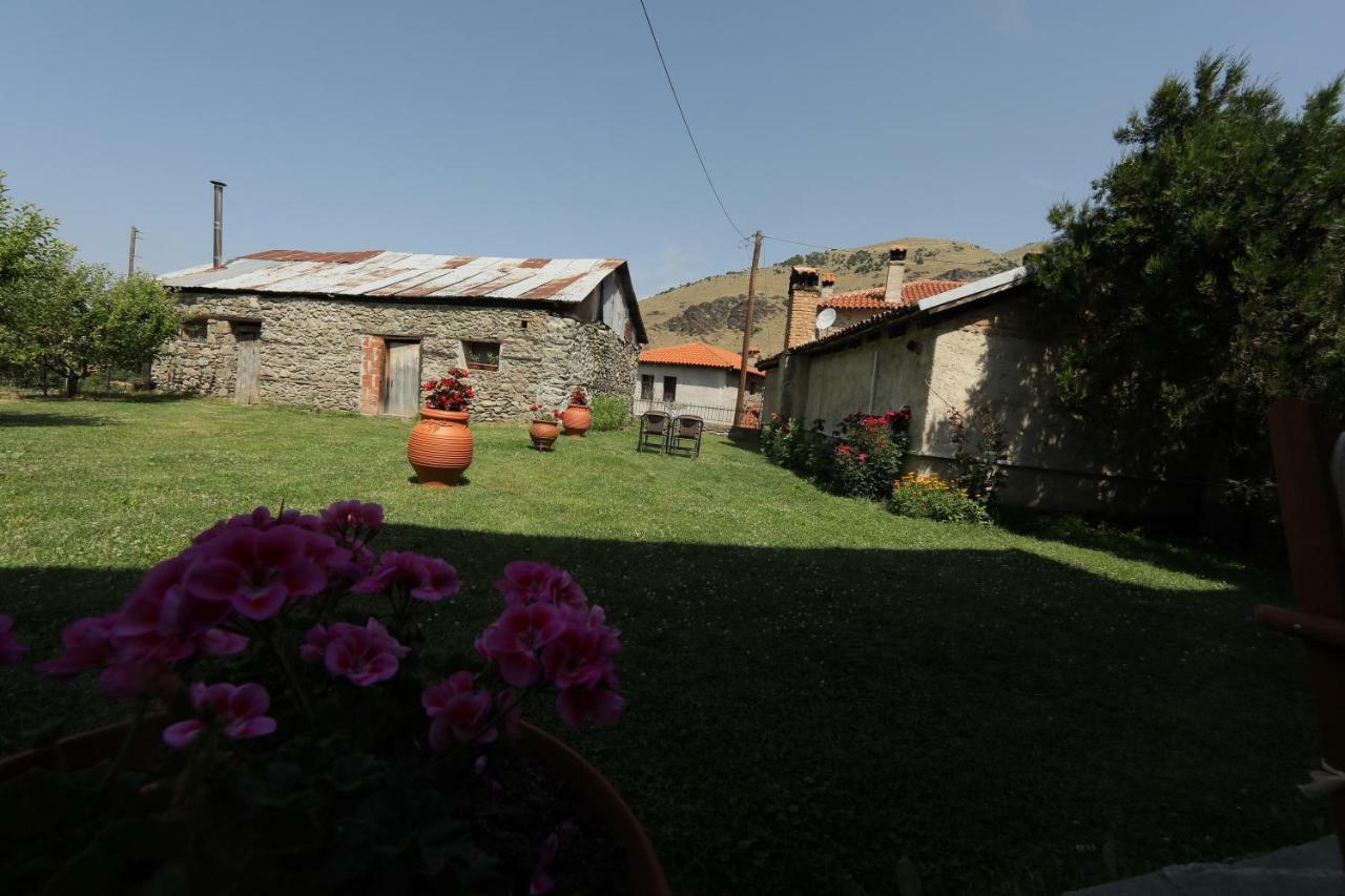 Dora'S House At Agios Germanos Prespes Pension Buitenkant foto